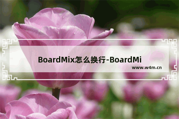 BoardMix怎么换行-BoardMix换行的方法教程