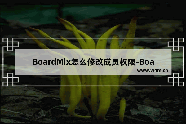 BoardMix怎么修改成员权限-BoardMix修改成员权限的方法教程