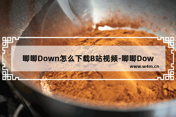 唧唧Down怎么下载B站视频-唧唧Down下载B站视频的方法教程