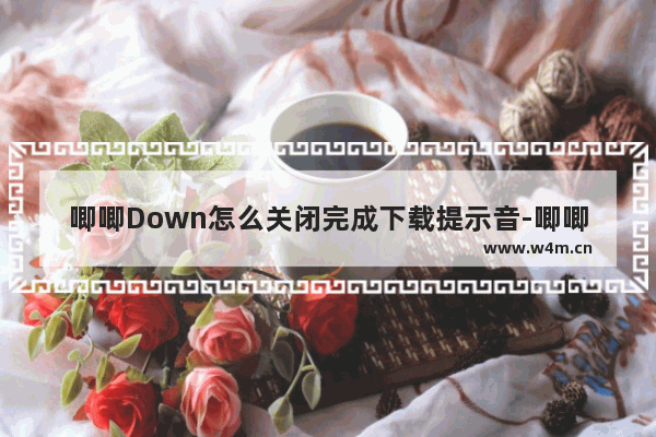 唧唧Down怎么关闭完成下载提示音-唧唧Down关闭完成下载提示音的方法教程