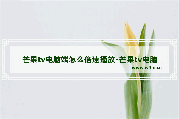 芒果tv电脑端怎么倍速播放-芒果tv电脑端倍速播放的方法教程