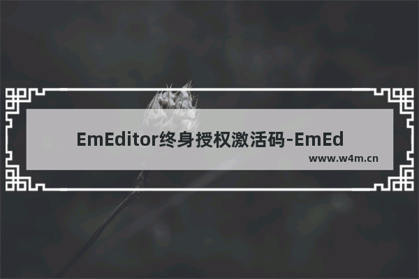 EmEditor终身授权激活码-EmEditor永久注册激活码