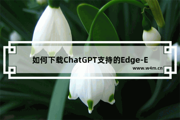 如何下载ChatGPT支持的Edge-Edge浏览器有ChatGPT功能的软件下载方法