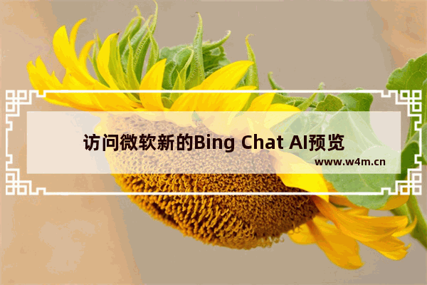 访问微软新的Bing Chat AI预览版的方法-Bing Chat AI预览版怎么注册跳过候选名单