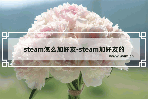 steam怎么加好友-steam加好友的方法教程