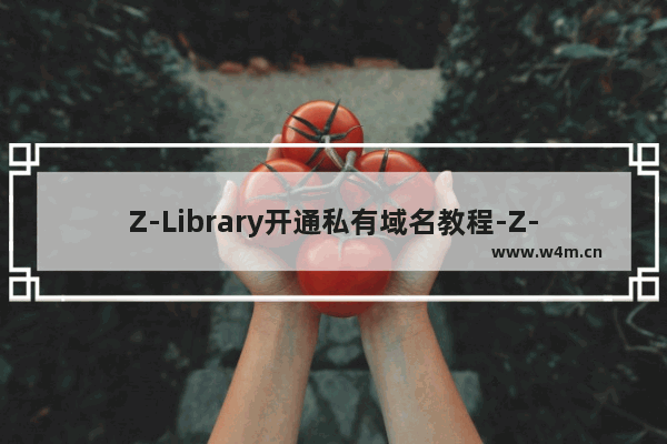 Z-Library开通私有域名教程-Z-Library免费获取专属域名