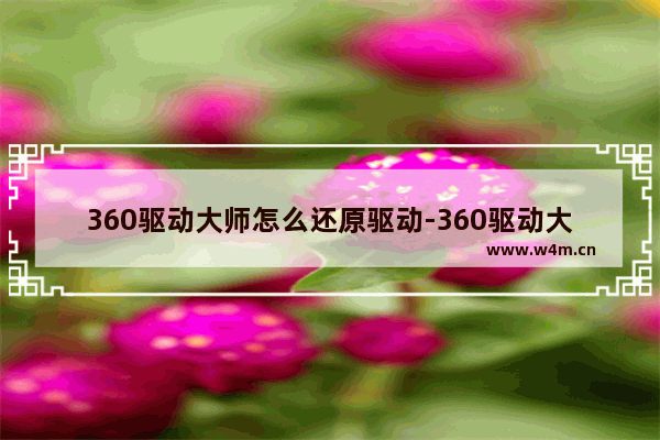 360驱动大师怎么还原驱动-360驱动大师还原驱动的方法介绍