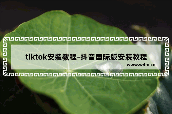 tiktok安装教程-抖音国际版安装教程安卓