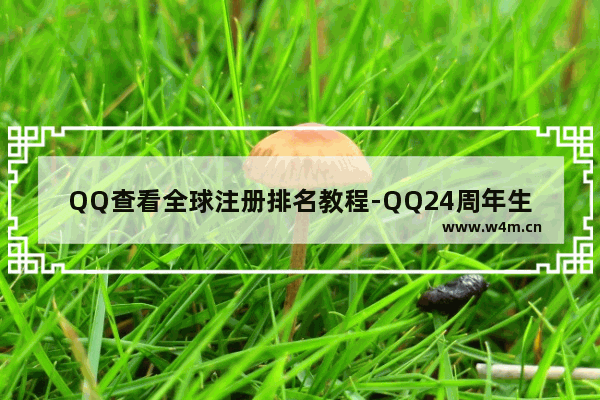 QQ查看全球注册排名教程-QQ24周年生日报告查看方法