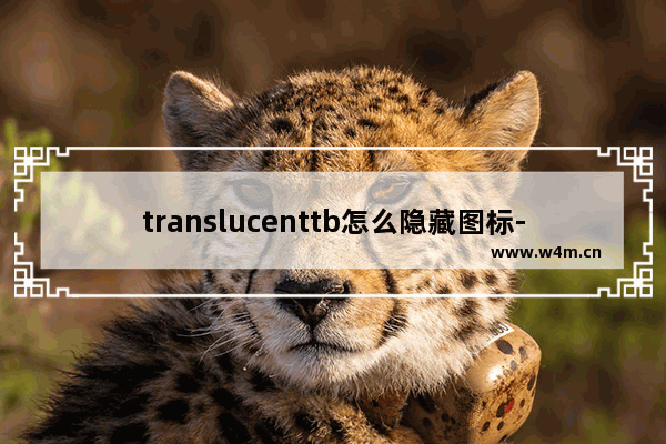 translucenttb怎么隐藏图标-translucenttb图标隐藏方法