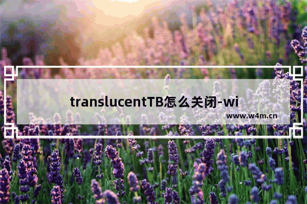 translucentTB怎么关闭-windows translucenttb关闭教程