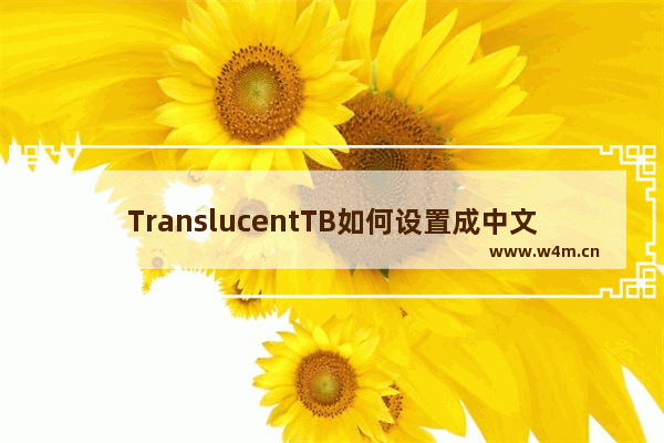 TranslucentTB如何设置成中文-TranslucentTB中文设置教程