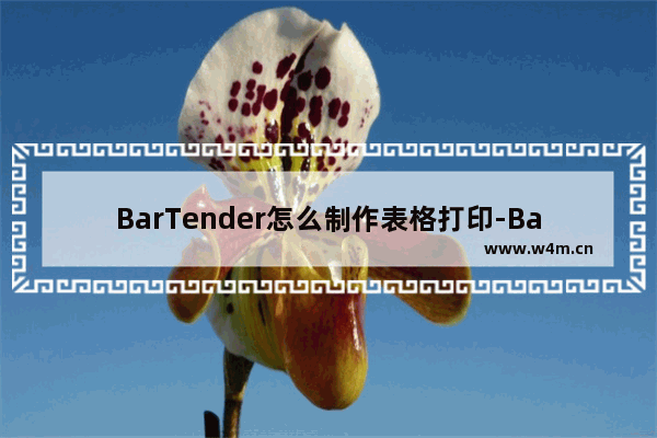 BarTender怎么制作表格打印-BarTender制作表格打印的方法教程