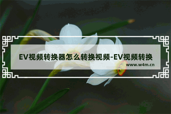 EV视频转换器怎么转换视频-EV视频转换器转换视频的方法教程