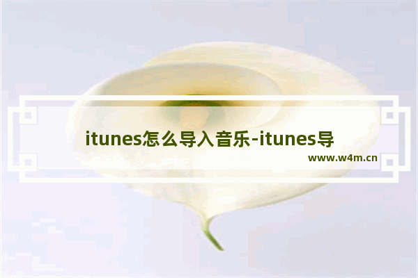 itunes怎么导入音乐-itunes导入音乐的方法教程