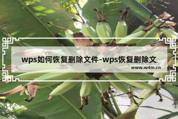 wps如何恢复删除文件-wps恢复删除文件教程