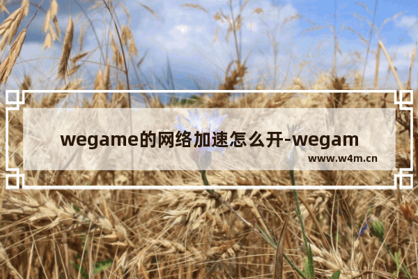 wegame的网络加速怎么开-wegame打开网络加速教程