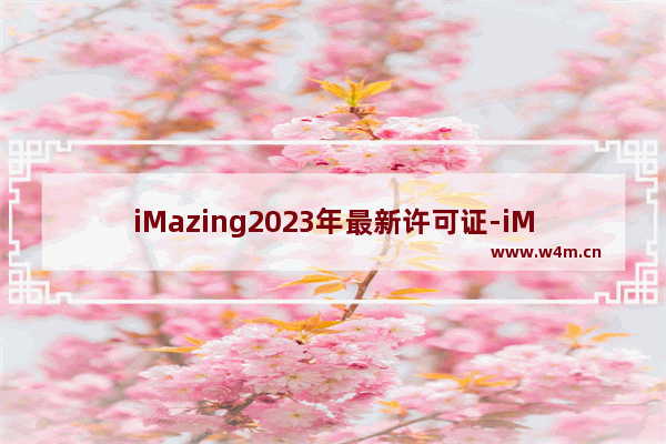 iMazing2023年最新许可证-iMazing许可证激活补丁