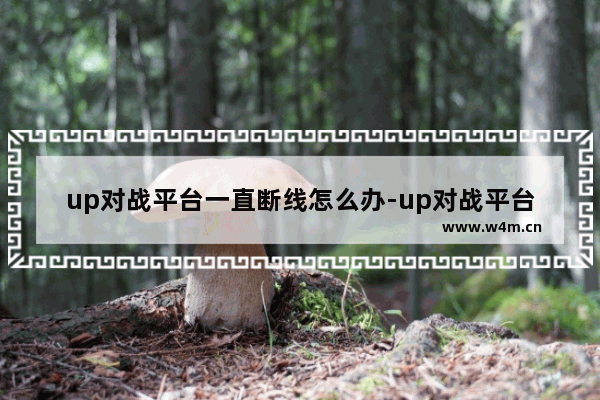 up对战平台一直断线怎么办-up对战平台一直断线解决方法