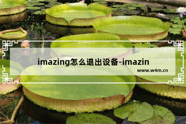 imazing怎么退出设备-imazing退出设备的方法教程