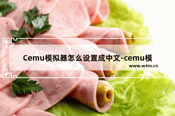 Cemu模拟器怎么设置成中文-cemu模拟器怎么用汉化补丁