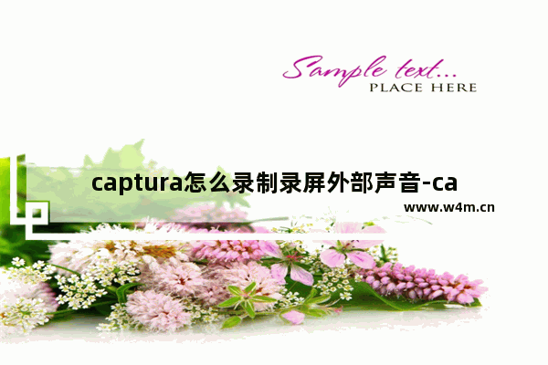 captura怎么录制录屏外部声音-captura录制录屏外部声音的方法教程