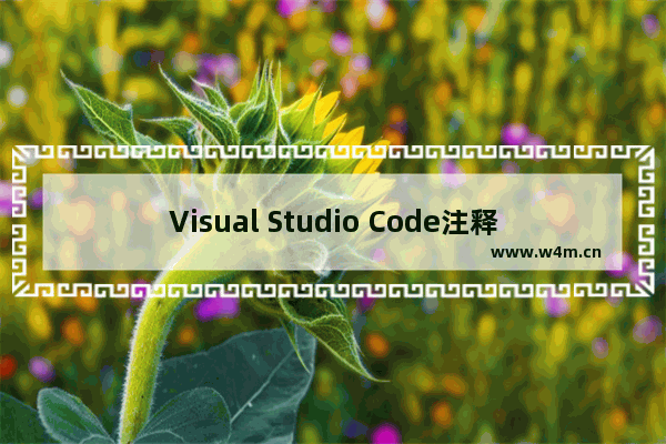 Visual Studio Code注释快捷键无效-vscode注释快捷键设置方法