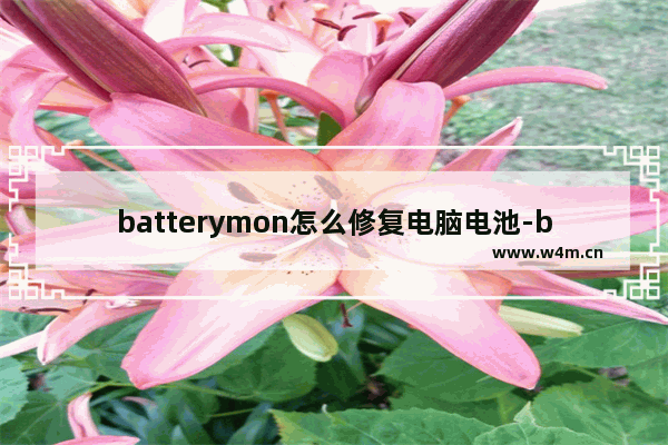 batterymon怎么修复电脑电池-batterymon修复电脑电池的方法教程