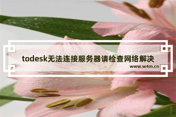 todesk无法连接服务器请检查网络解决方法