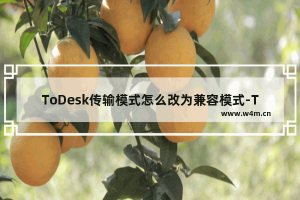 ToDesk传输模式怎么改为兼容模式-ToDesk设置兼容模式方法