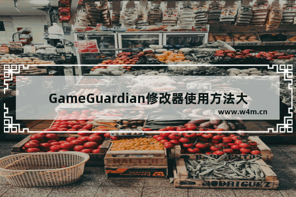 GameGuardian修改器使用方法大全-GG修改器新手教程