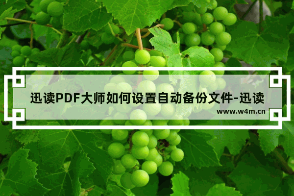 迅读PDF大师如何设置自动备份文件-迅读PDF大师设置自动备份文件的方法