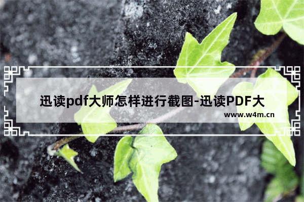 迅读pdf大师怎样进行截图-迅读PDF大师进行截图的方法