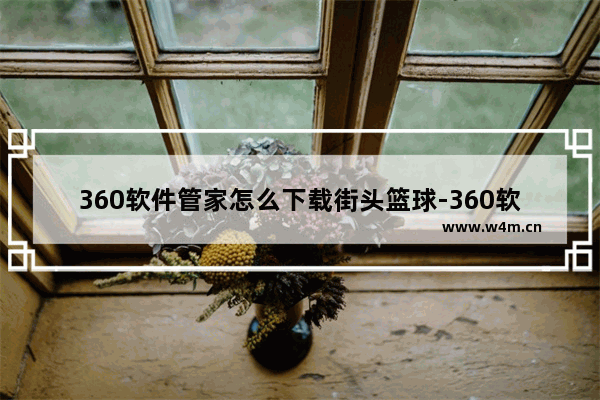 360软件管家怎么下载街头篮球-360软件管家下载街头篮球方法