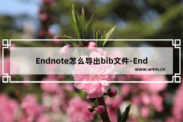 Endnote怎么导出bib文件-Endnote导出bib文件方法