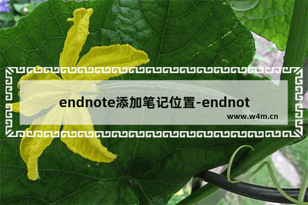 endnote添加笔记位置-endnote如何添加笔记