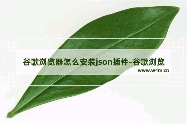 谷歌浏览器怎么安装json插件-谷歌浏览器安装json视图插件教程