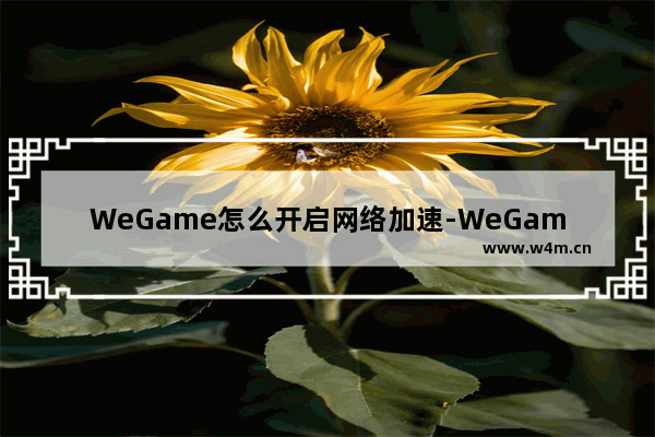 WeGame怎么开启网络加速-WeGame网络加速打开方法