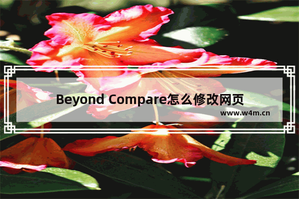 Beyond Compare怎么修改网页代码-Beyond Compare修改网页代码方法