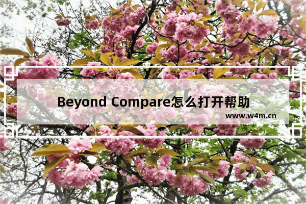 Beyond Compare怎么打开帮助文档-Beyond Compare打开帮助文档方法