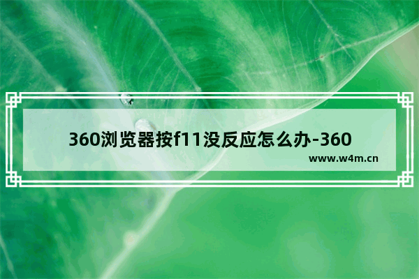 360浏览器按f11没反应怎么办-360浏览器按f11没效果解决方法