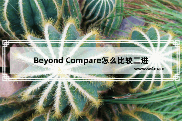 Beyond Compare怎么比较二进制文件差异-Beyond Compare比对二进制文件方法