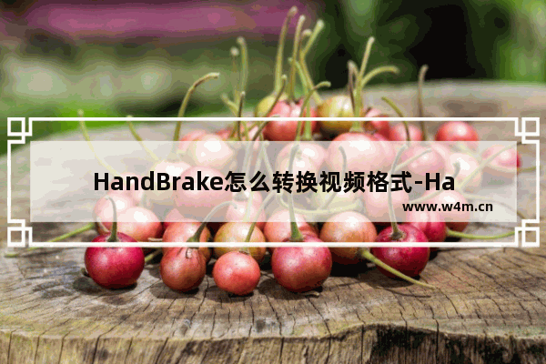 HandBrake怎么转换视频格式-HandBrake转换视频格式的方法教程