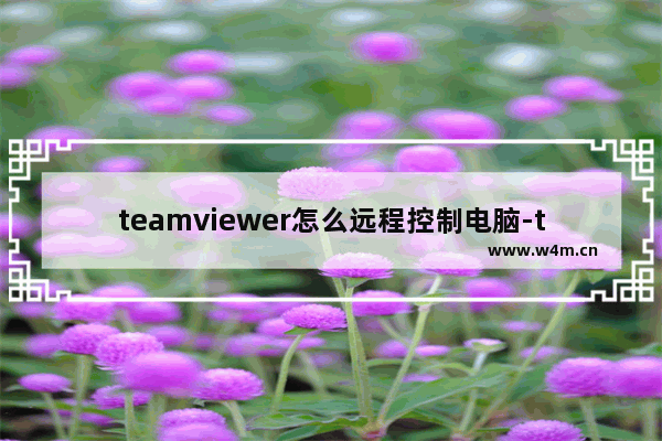 teamviewer怎么远程控制电脑-teamviewer远程控制电脑的方法教程