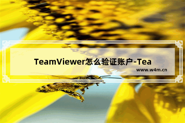 TeamViewer怎么验证账户-TeamViewer验证账户的方法教程