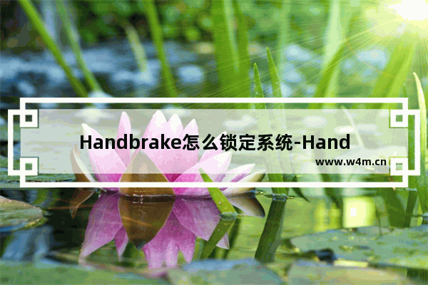 Handbrake怎么锁定系统-Handbrake设置锁定系统的方法教程