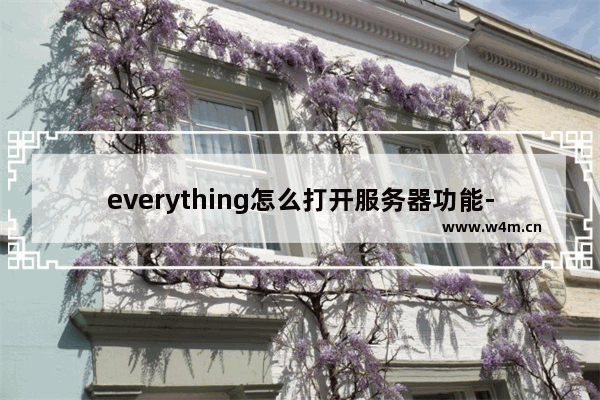 everything怎么打开服务器功能-everything开启服务器功能教程