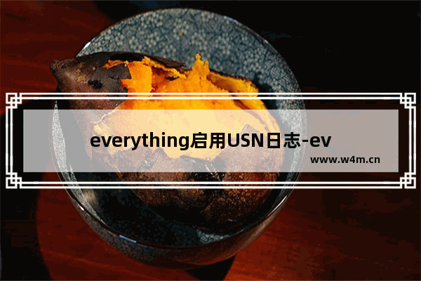 everything启用USN日志-everything查询usn变更日志