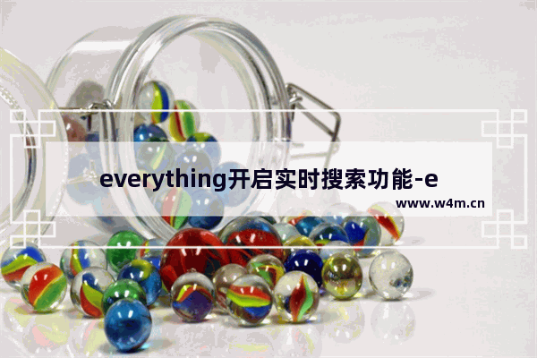 everything开启实时搜索功能-everything搜索范围设置