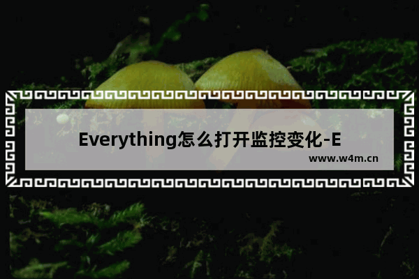 Everything怎么打开监控变化-Everything开启监控变化方法